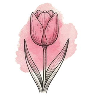 Tulip